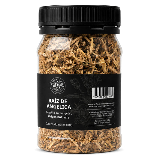 Raíz de angélica 100g — Botanicus