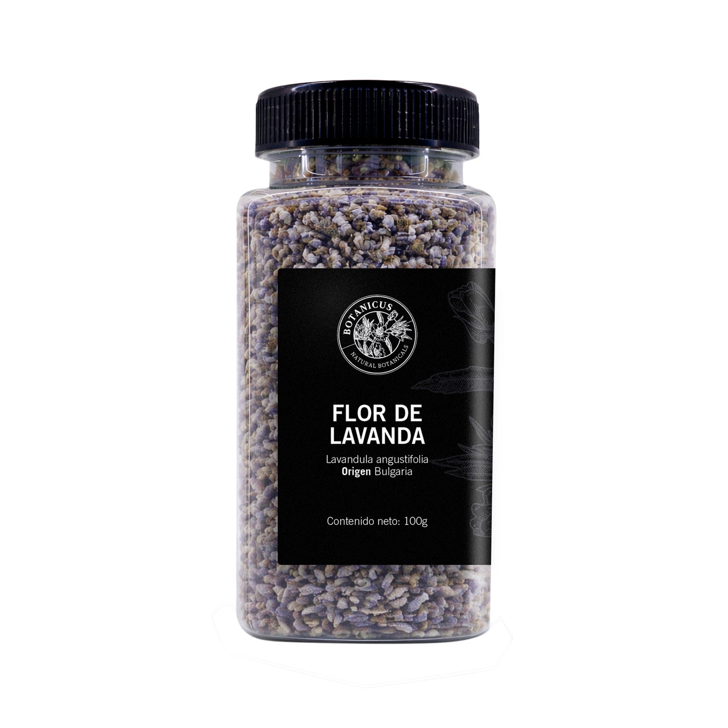 Flor de Lavanda