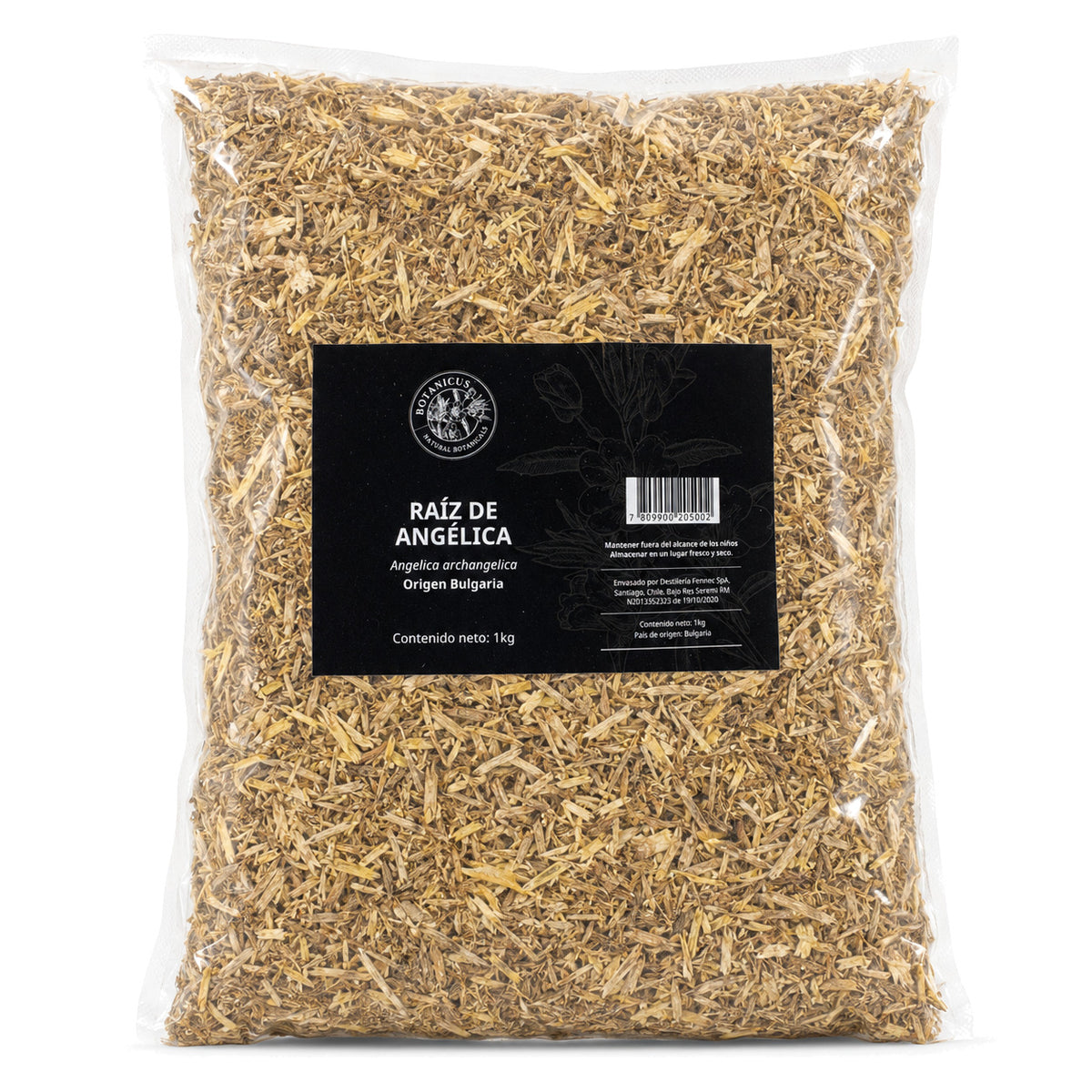 Raíz de angélica 1kg — Botanicus
