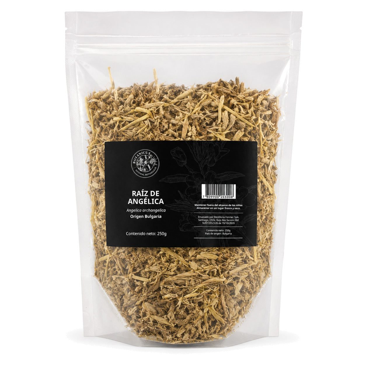 Raíz de angélica 250g — Botanicus
