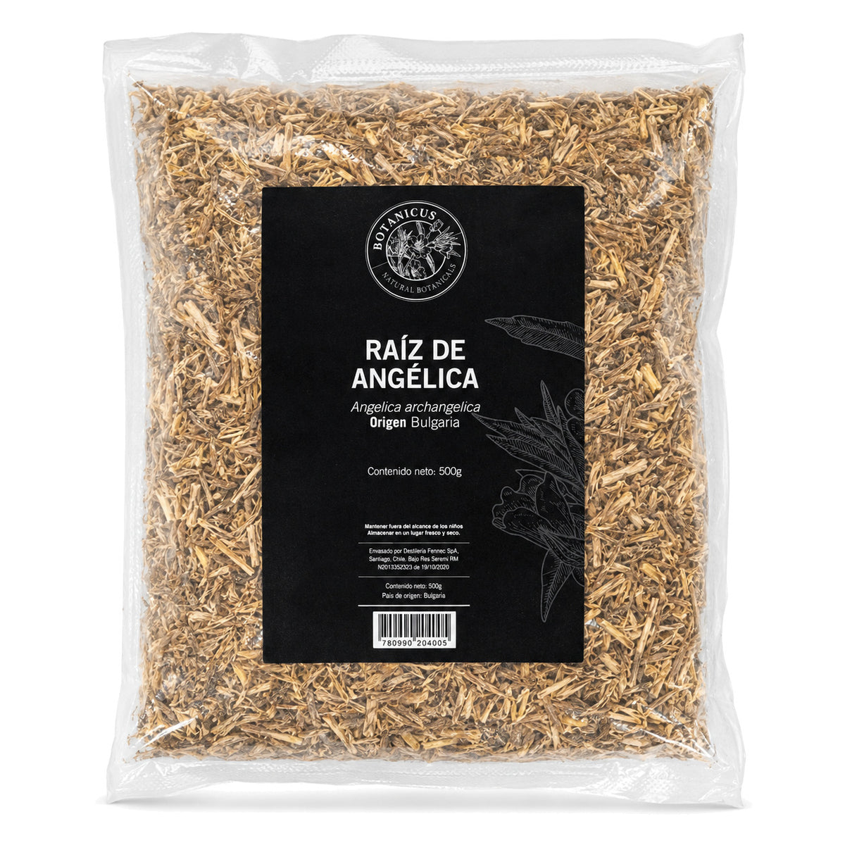 Raíz de angélica 500g — Botanicus