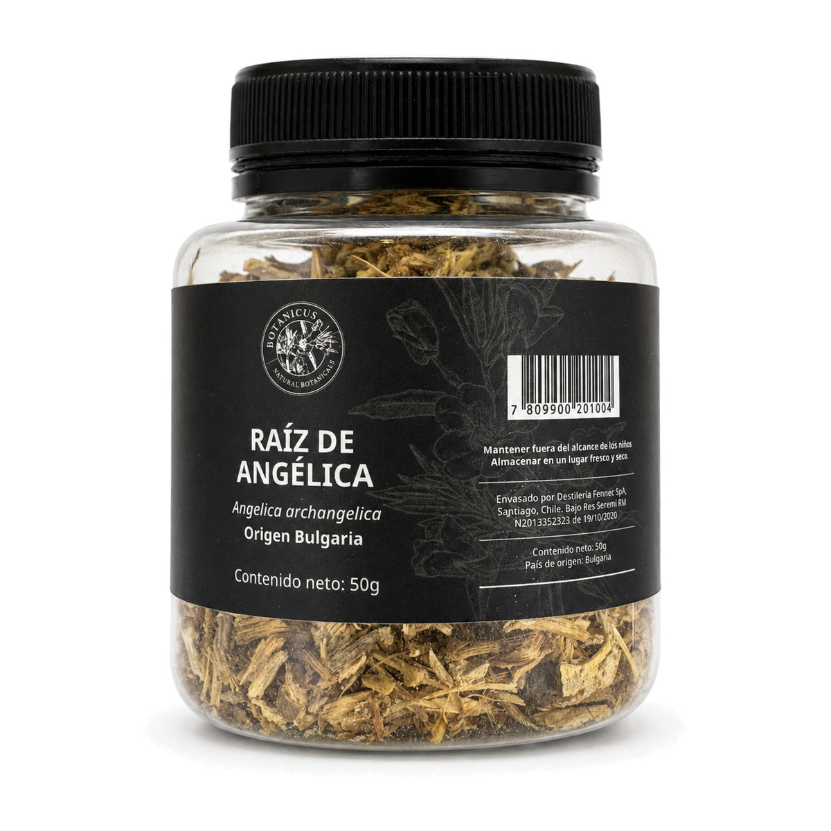 Raíz de angélica 50g — Botanicus