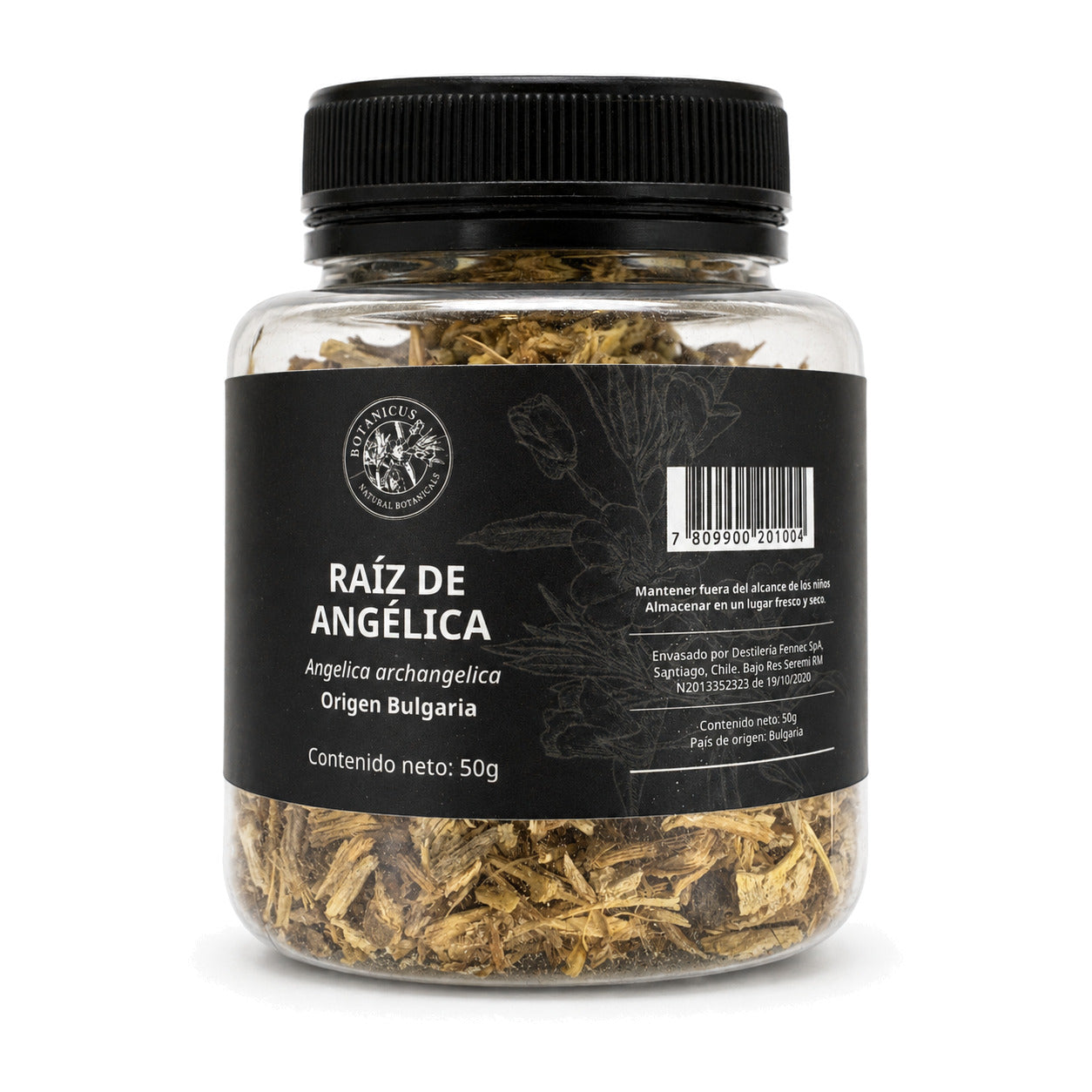 Raíz de angélica 50g — Botanicus