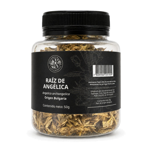 Raíz de angélica 50g — Botanicus