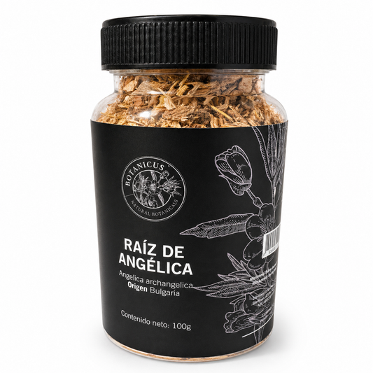 Raíz de angélica deshidratada — Botanicus