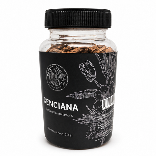 Raíz de genciana cortada — Botanicus