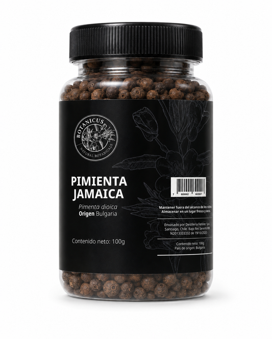 Pimienta de Jamaica (allspice) en grano entero — Botanicus