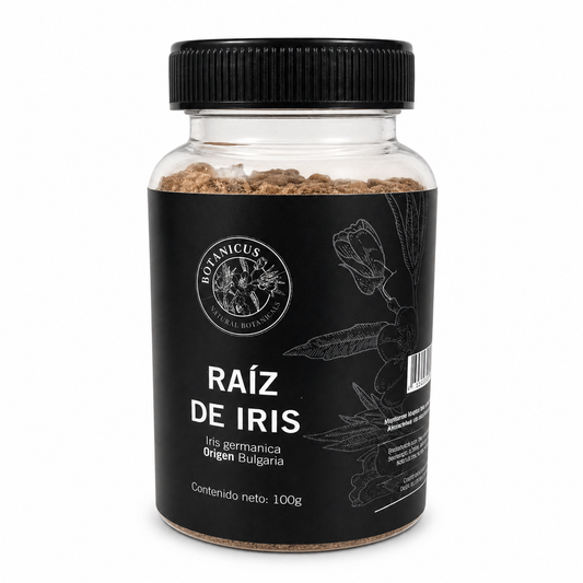 Raíz de Iris orris madurada  — Botanicus