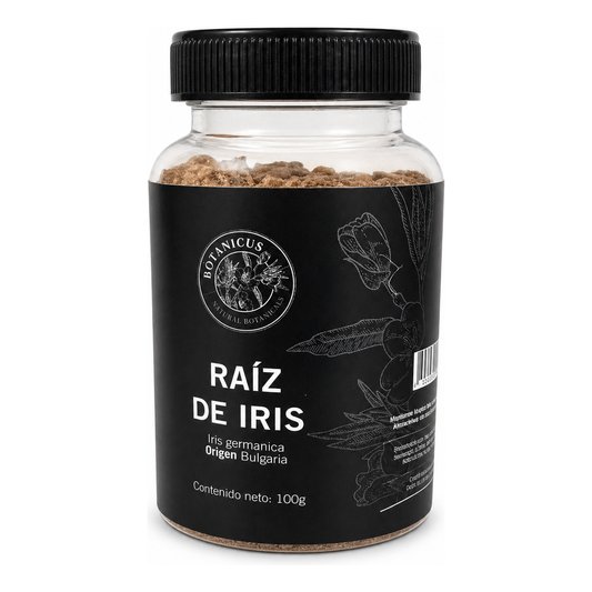 Raíz de Iris orris madurada  — Botanicus